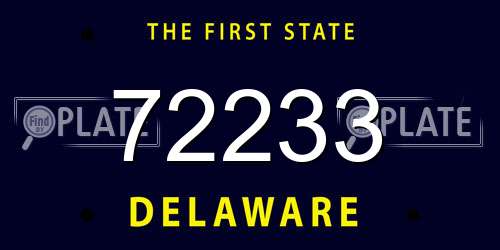 72233 Delaware License Plate