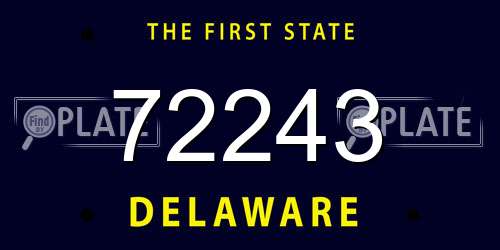 72243 Delaware License Plate