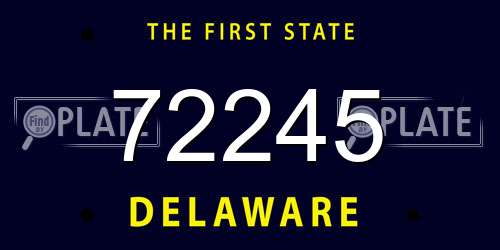 72245 Delaware License Plate