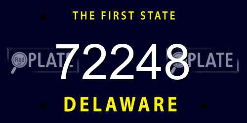 72248 Delaware License Plate