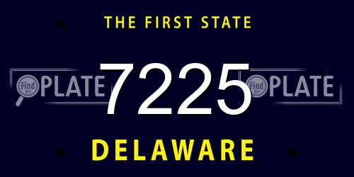 7225 Delaware License Plate