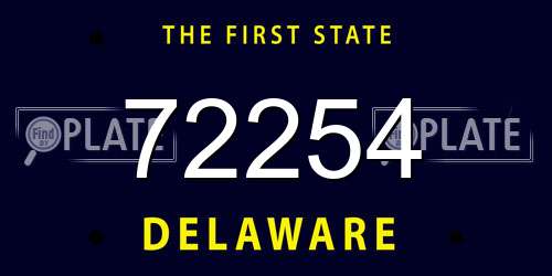 72254 Delaware License Plate