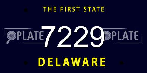 7229 Delaware License Plate