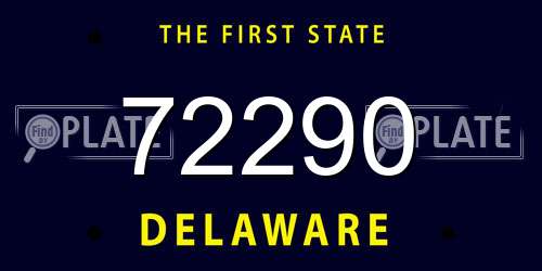 72290 Delaware License Plate