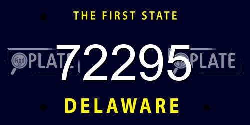 72295 Delaware License Plate