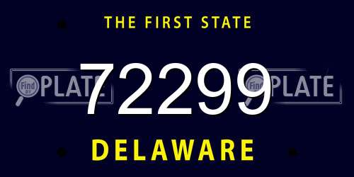 72299 Delaware License Plate