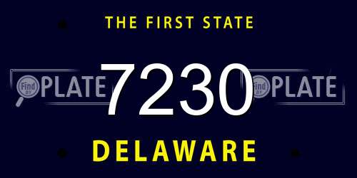7230 Delaware License Plate