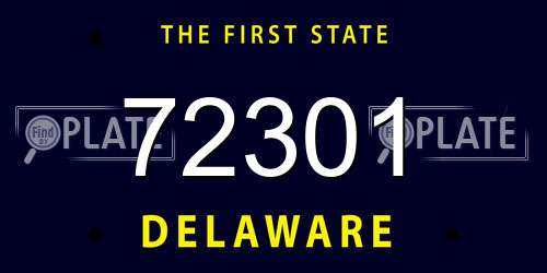 72301 Delaware License Plate