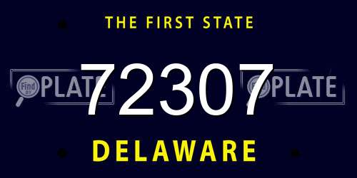 72307 Delaware License Plate