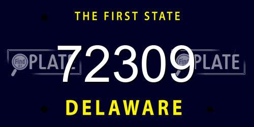 72309 Delaware License Plate