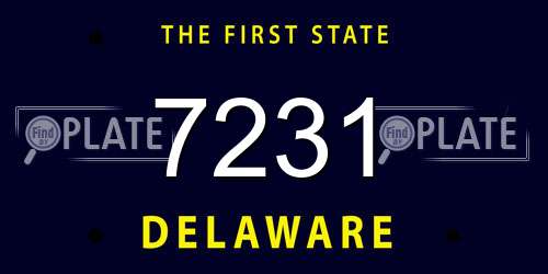 7231 Delaware License Plate
