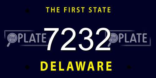 7232 Delaware License Plate