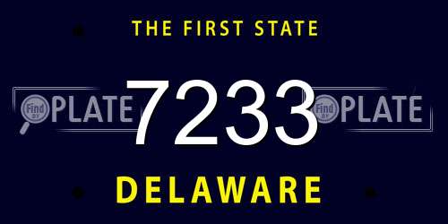 7233 Delaware License Plate