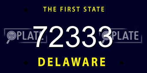 72333 Delaware License Plate