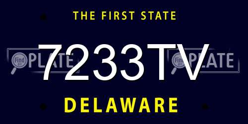 7233TV Delaware License Plate