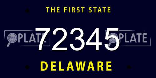 72345 Delaware License Plate