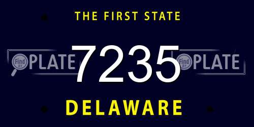 7235 Delaware License Plate