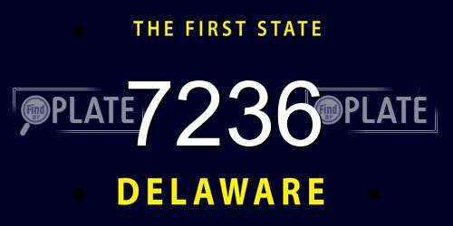 7236 Delaware License Plate