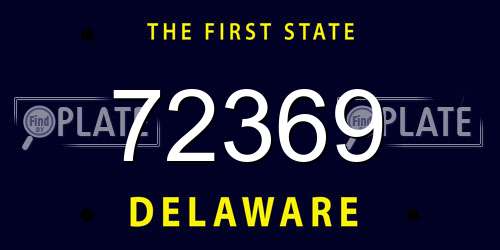 72369 Delaware License Plate
