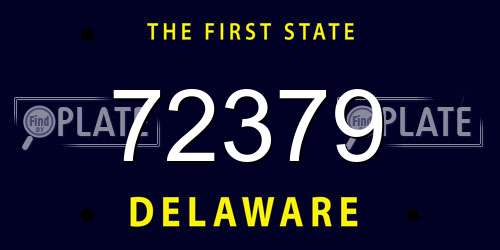 72379 Delaware License Plate