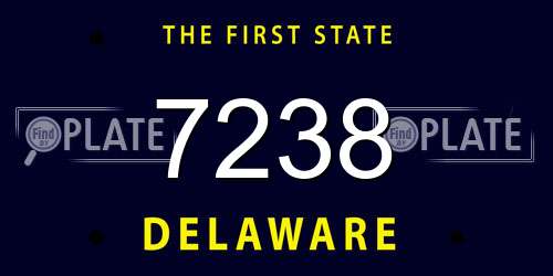 7238 Delaware License Plate