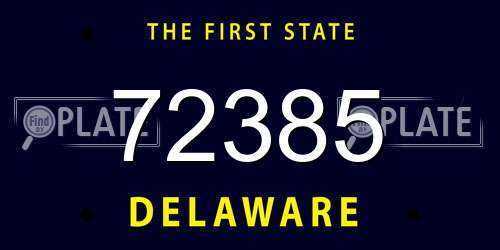 72385 Delaware License Plate