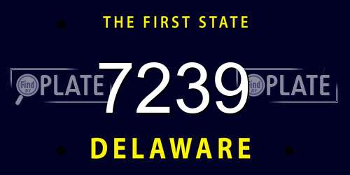 7239 Delaware License Plate