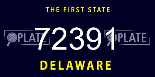 72391 Delaware License Plate