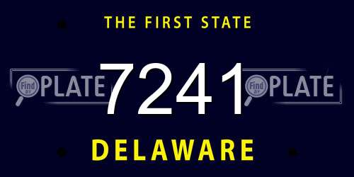 7241 Delaware License Plate