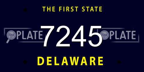 7245 Delaware License Plate