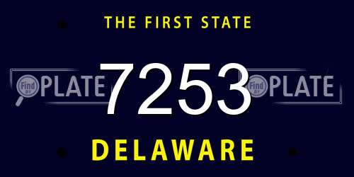 7253 Delaware License Plate
