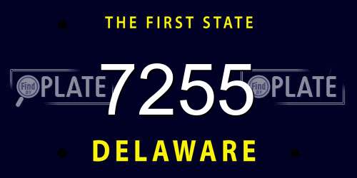 7255 Delaware License Plate