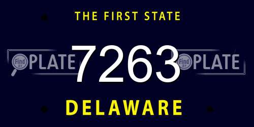 7263 Delaware License Plate