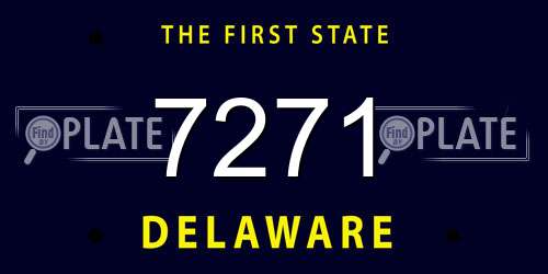 7271 Delaware License Plate