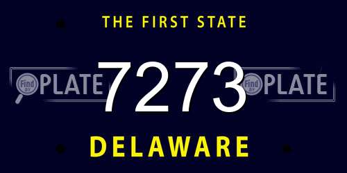 7273 Delaware License Plate