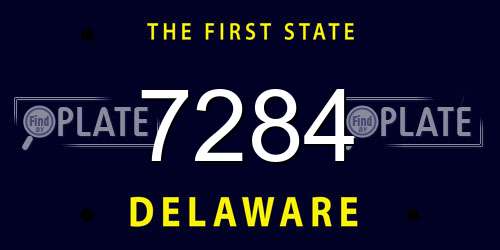 7284 Delaware License Plate