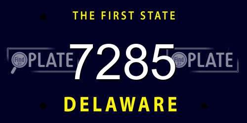 7285 Delaware License Plate