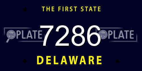 7286 Delaware License Plate