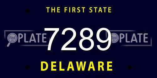 7289 Delaware License Plate