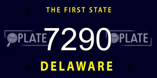 7290 Delaware License Plate