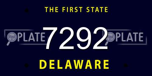 7292 Delaware License Plate