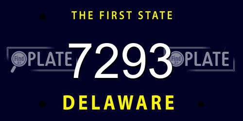 7293 Delaware License Plate