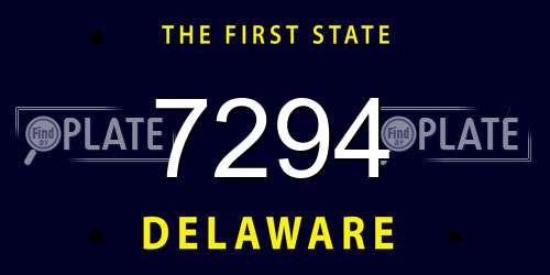 7294 Delaware License Plate