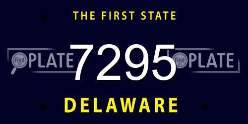 7295 Delaware License Plate