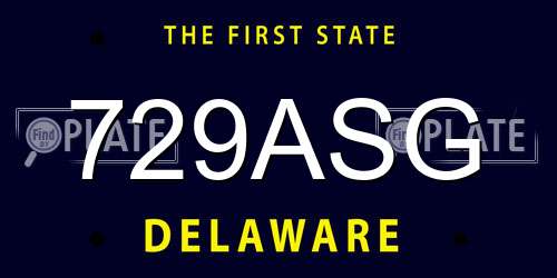 729ASG Delaware License Plate