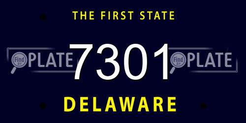 7301 Delaware License Plate
