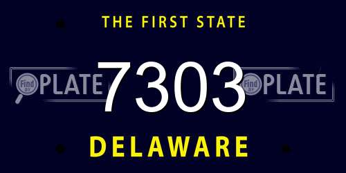 7303 Delaware License Plate