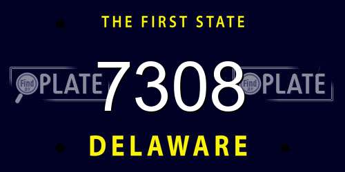 7308 Delaware License Plate