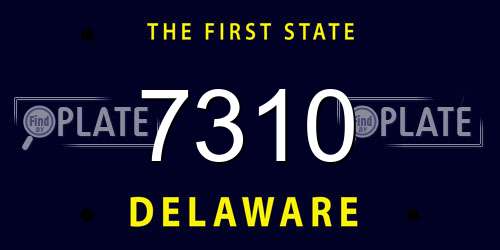 7310 Delaware License Plate