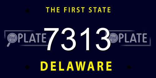 7313 Delaware License Plate